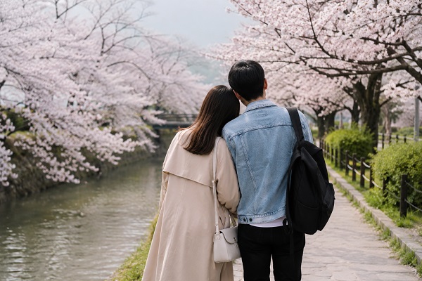 Couple Tourism During Cherry Blossoms